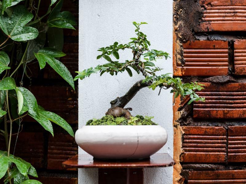 Ngoc Qui Bungalow Phu Quoc Exteriér fotografie